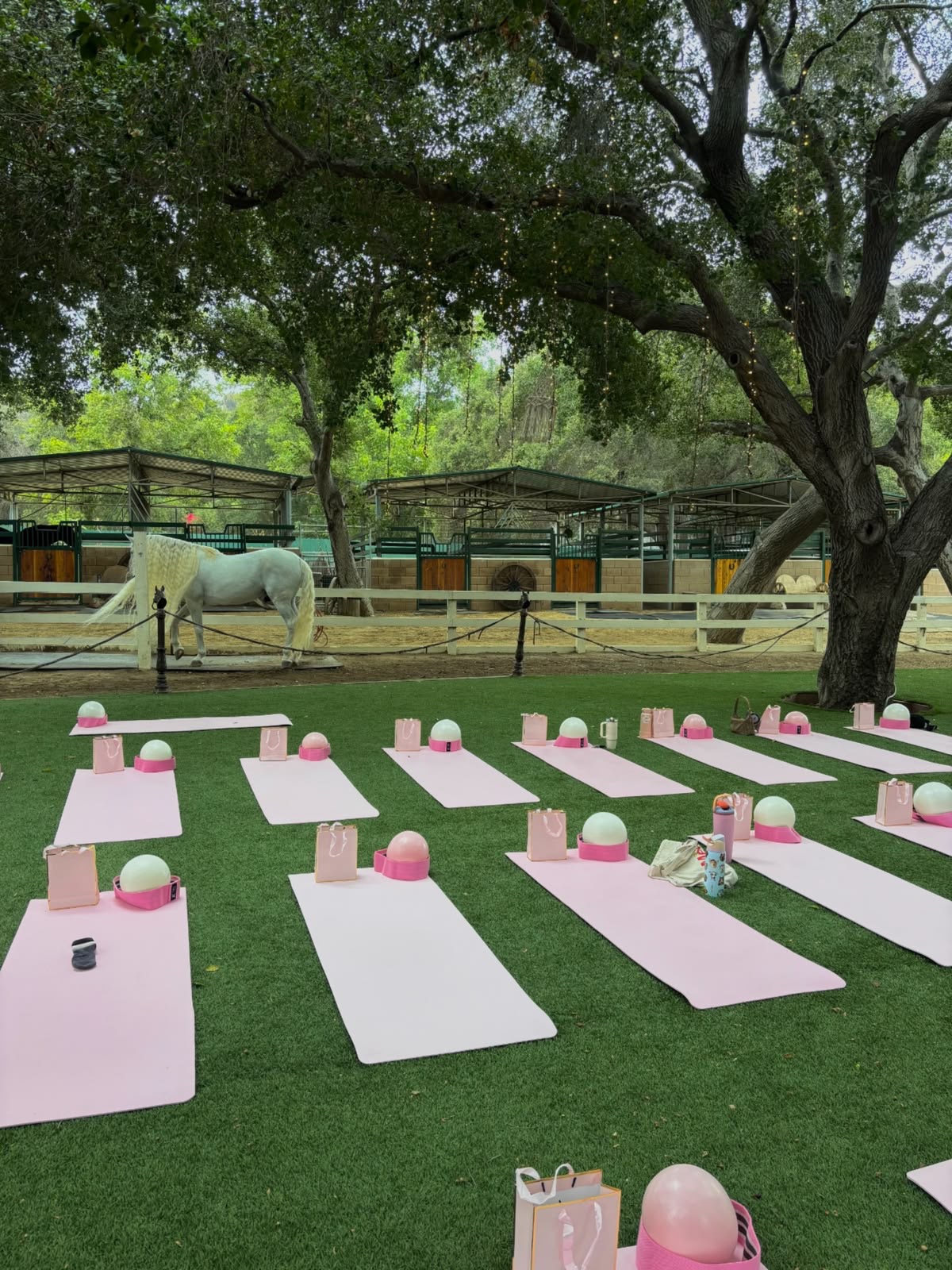 Sculpt & Stables — photo 1